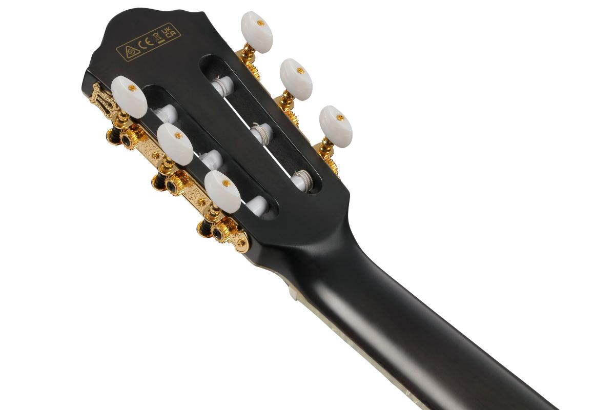 Гітара класична IBANEZ TOD20FMN-BFL