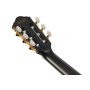 Гітара класична IBANEZ TOD20FMN-BFL
