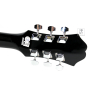 Гитара акустическая EPIPHONE DR-100 EB