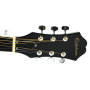 Гитара акустическая EPIPHONE DR-100 EB