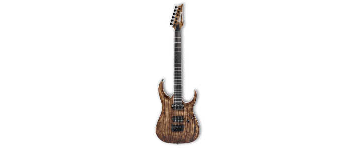 IBANEZ RGAIX6U ABS Електрогітара